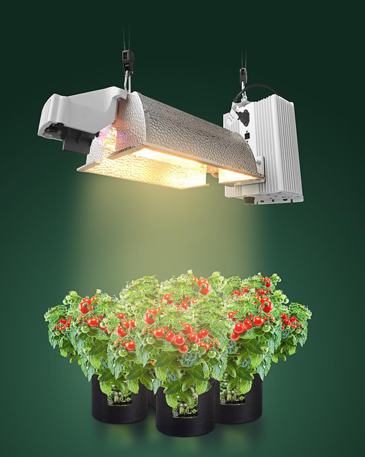 Elariom GravityLock™ Adjustable Rope System